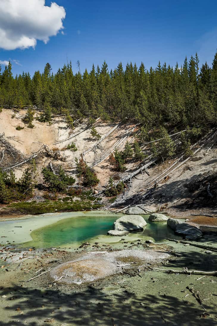 Norris Geyser Basin
